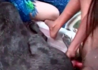 Sweet doggy in the stunning beast porn