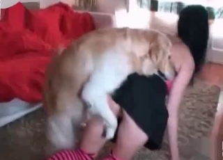 Perfect zoophile slut and her taught doggy