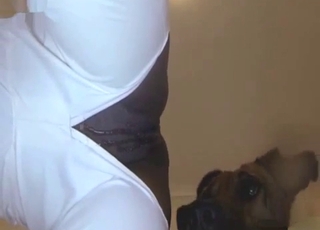 Dark-hued babe fucked hard by huge doggy