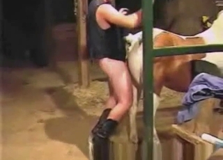 Plowing white horse ass in doggy fashion pose