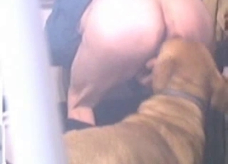 Rear end sniffing and fucking his round ass