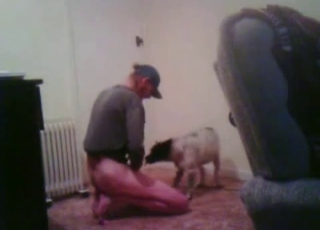 Ultra-kinky zoophile assaults his doggo