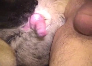 Sweet anal sex act with my rear end