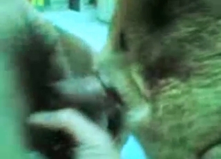 Rear end licks my boner like a professional