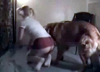 Rear end fashion fucking with a hot canine