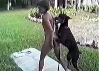 Excellent doggy pulverized her pussy so rock-hard