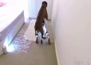 Skinny ebony in white fucked by doggy