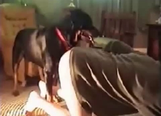 Highly fast and hard sex with a black rear end