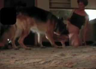 Close up flick where a filthy mutt gets banged