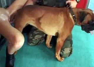Skinny lass adores dog sex