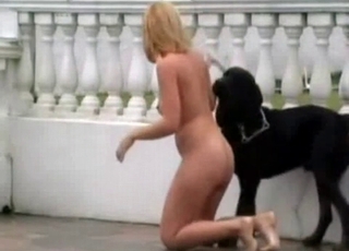 Outdoor sex with a nice black dog