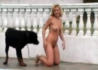 Outdoor sex with a nice black dog