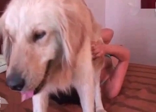 Doggy with rosy cock got stacked in her hole