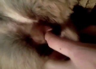 Doggy opens it's butt-hole for my lusty fingers