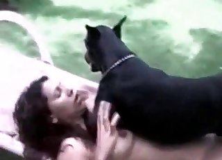 Dominant meaty Doberman is on top of a crazy zoophiliac