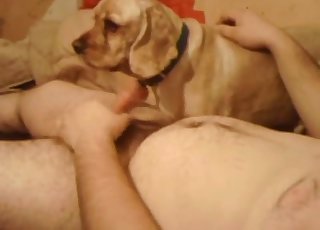 Fellow with a big knob gets sucked off by his doggo