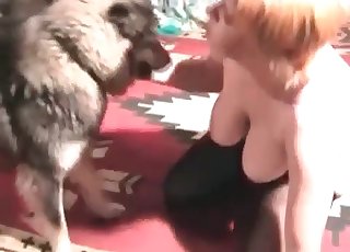 Amazing animal sex with a nice doggo