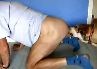 Kinky person gets some ass eating activity from a wild dog