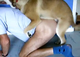 Kinky person gets some ass eating activity from a wild dog