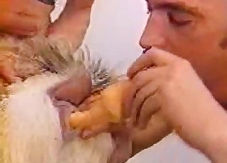 Dude sucking and fucking his own dog