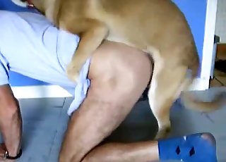 Kinky person gets some ass eating action from a horny dog