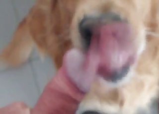 Dog deepthroat porn
