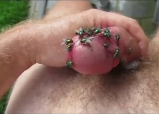 Crazy fly pornтАж not for the faint of heart, tho