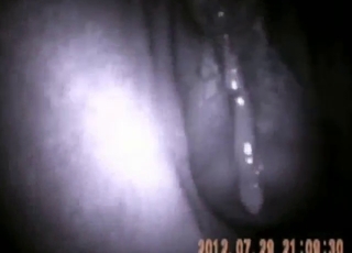 Bestiality porn with incredible close-ups