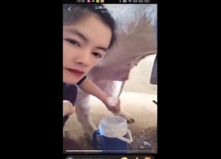 Fucking top-shelf blowjob video with a Chinese gal