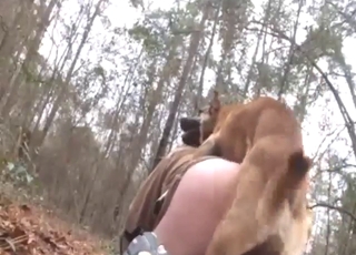Zoo porn with a big booty zoophile fucking dog