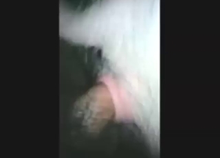 क्रूर व्यक्ति