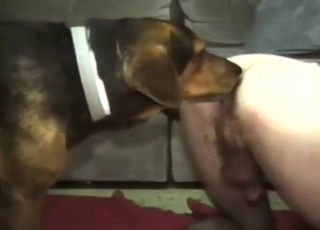 Wonderful gay dog loving movie with a hot dude