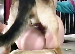 Amateur bestiality where a doggo gets a messy Oral pleasure