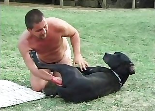 Dog is getting boinked by a masculine