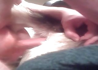 First-timer anal sex with a dog