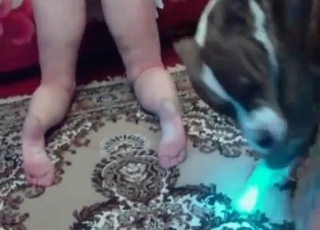 Amazing licking action from a dog