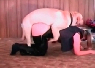 Nice dog boinks her small coochie