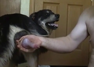 Dude worships this dog's pipe