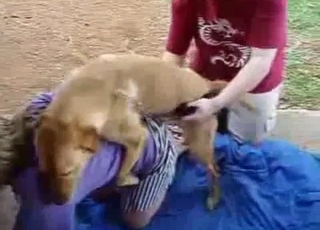 Wife pummels with her dog in front hubby