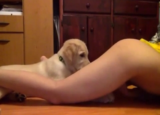 Extremely passionate oral sex with a dog