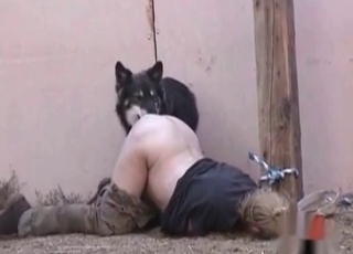 Dog nails a juicy fat ass