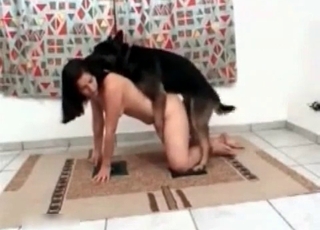 Astonishing chick fucks with her trained doggy
