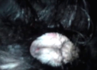 Doggy's tight gash looks so damn fuckable