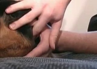 Black doggy is being explored