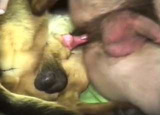 Gorgeous doggy drilled a tight snatch