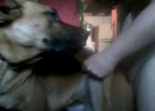 Yes, I can fuck my own doggy