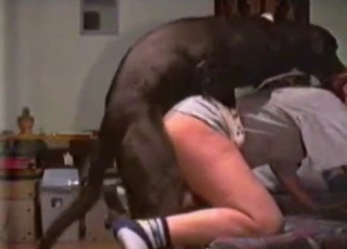 Playful big dog fucked her wet puss