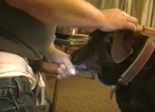 Dude penetrating this slutty-ass doggy