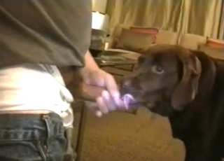 Dude penetrating this slutty-ass doggy