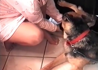 Wet pussy impaled by a doggy